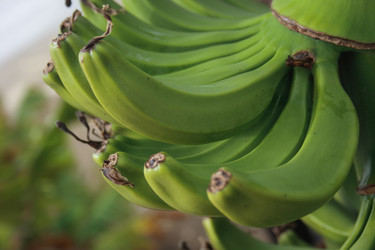 Similar image 970944