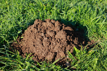 Similar image 970958