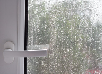 Similar image 970962