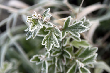 Similar image 970967