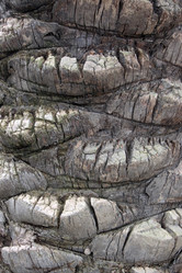 Similar image 970978