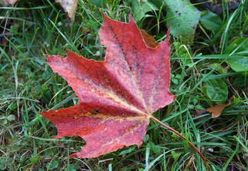 Similar image 970991