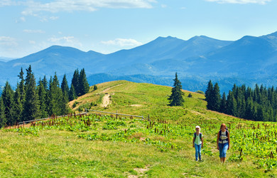 Similar image 971002