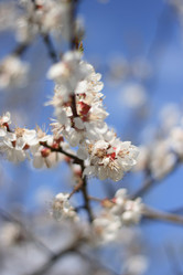 Similar image 971022