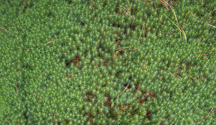 Similar image 971025