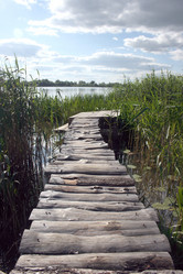 Similar image 971029