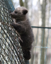 Similar image 971058