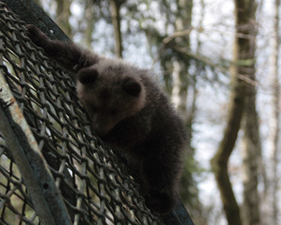 Similar image 971067