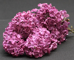 Similar image 971085