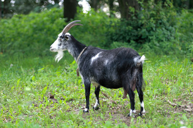 Similar image 971087