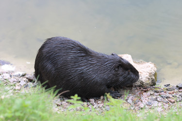 Similar image 971091