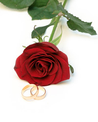 Similar image 971099