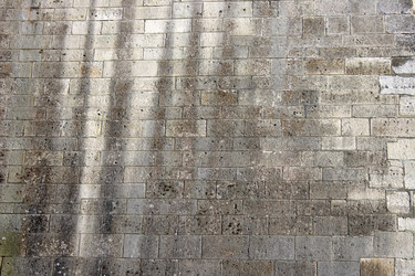 Similar image 971156