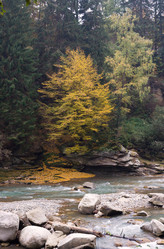 Similar image 971179