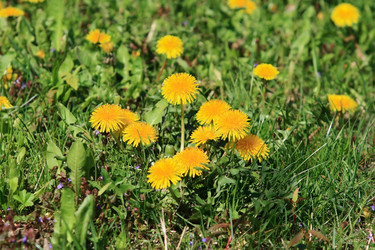 Similar image 971197