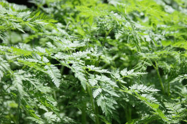 Similar image 971207