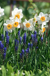 Similar image 971220