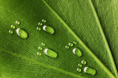 Similar image 971235