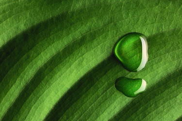 Similar image 971236