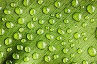 Similar image 971241