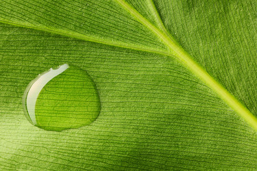 Similar image 971243