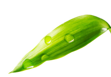 Similar image 971245