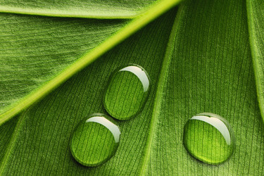 Similar image 971247