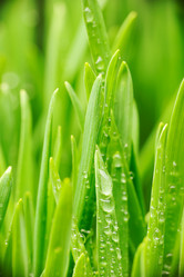 Similar image 971249