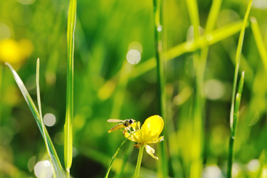 Similar image 971256