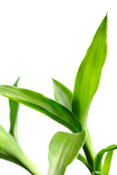 Similar image 971258