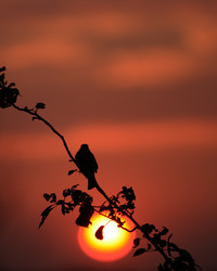 Similar image 971353