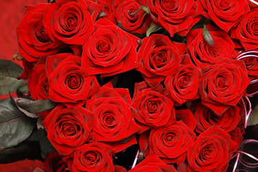 Similar image 971383