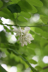 Similar image 971408