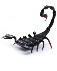 Similar image 971437