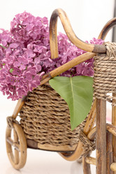 Similar image 971487