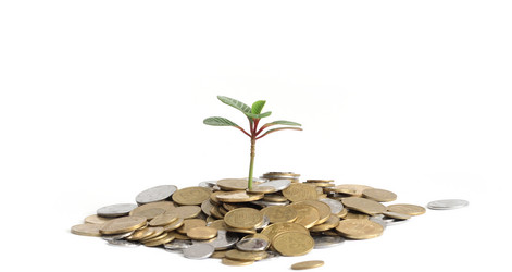 Similar image 971494