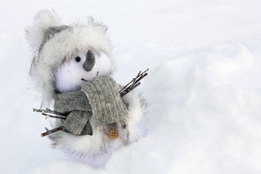 Similar image 971630