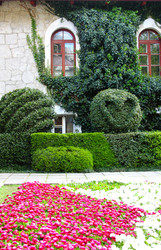 Similar image 971707