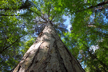 Similar image 971712