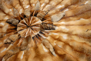 Similar image 971716