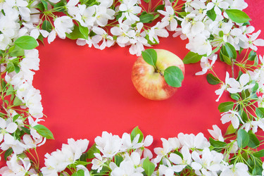 Similar image 971734