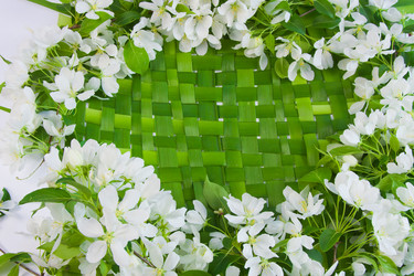 Similar image 971753