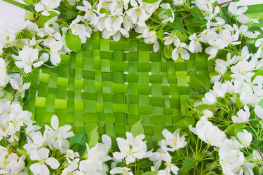 Similar image 971757