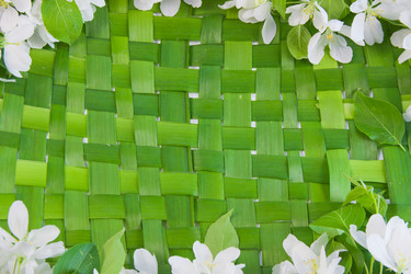 Similar image 971759