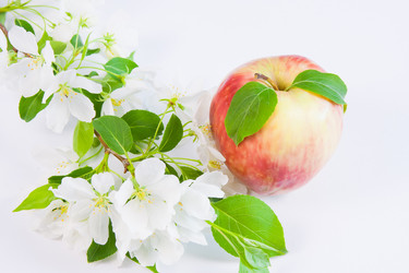 Similar image 971792