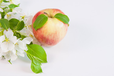 Similar image 971796