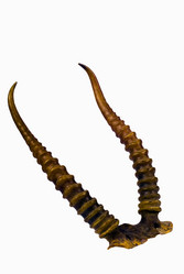 Similar image 971856