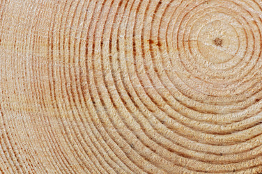 Similar image 971924