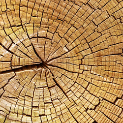 Similar image 971925