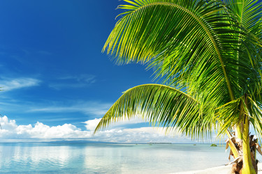 Similar image 971935